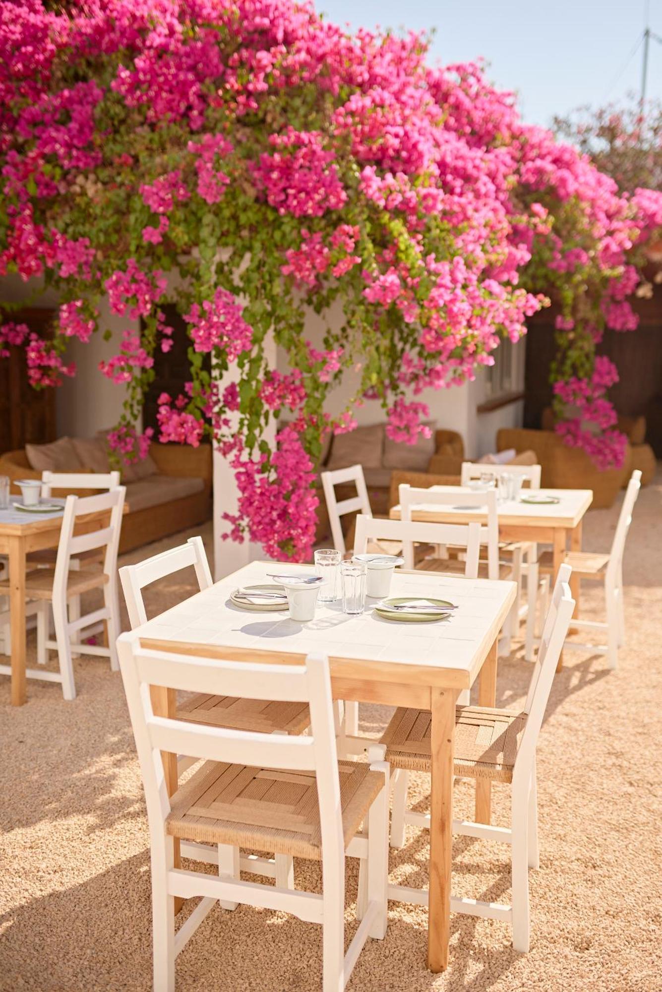 Ibara Ibiza Hotel Boutique Es Canar  Ngoại thất bức ảnh
