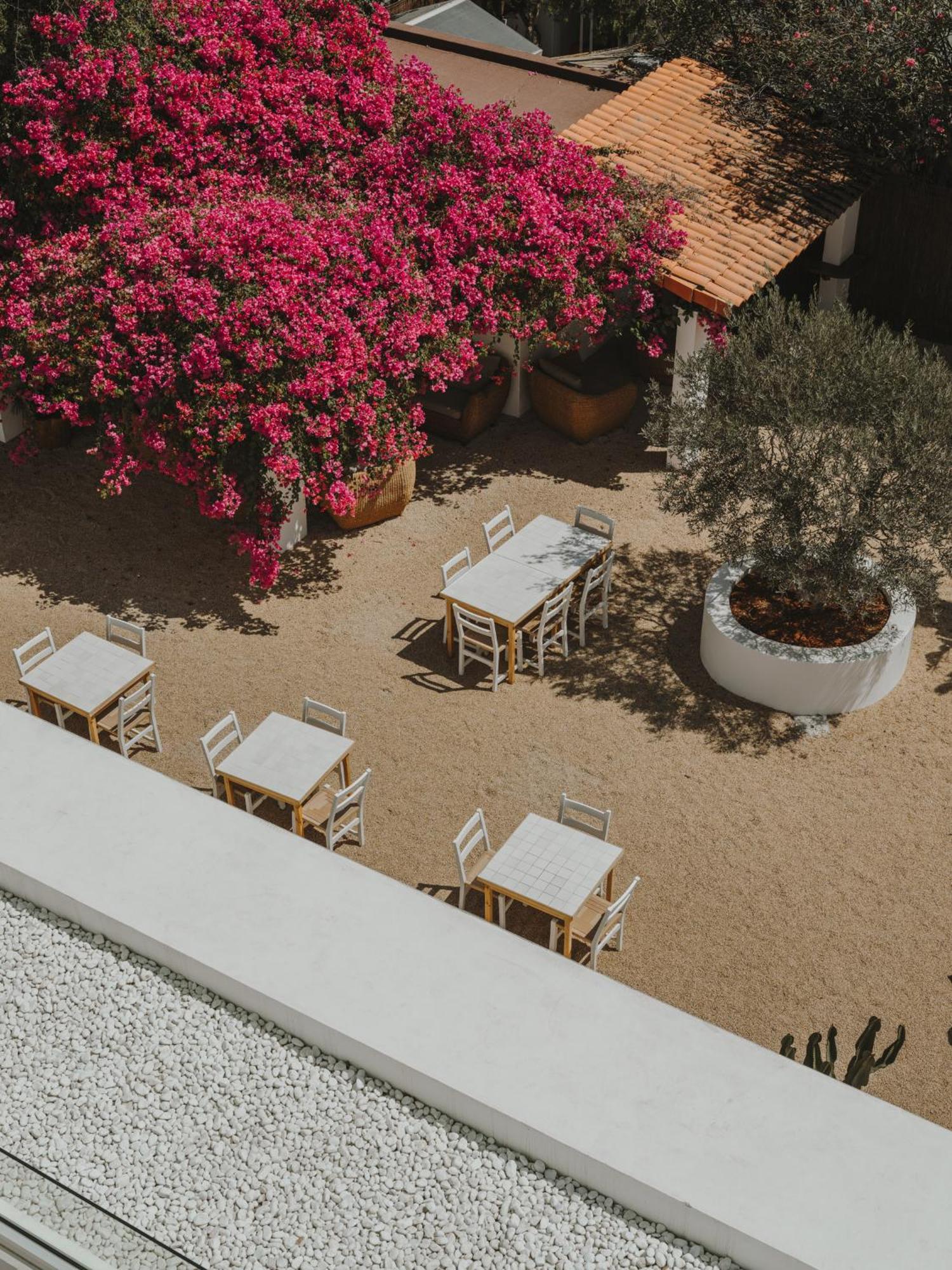 Ibara Ibiza Hotel Boutique Es Canar  Ngoại thất bức ảnh